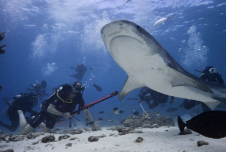 Screenshot 2025 07 01 at 12 11 21 PM